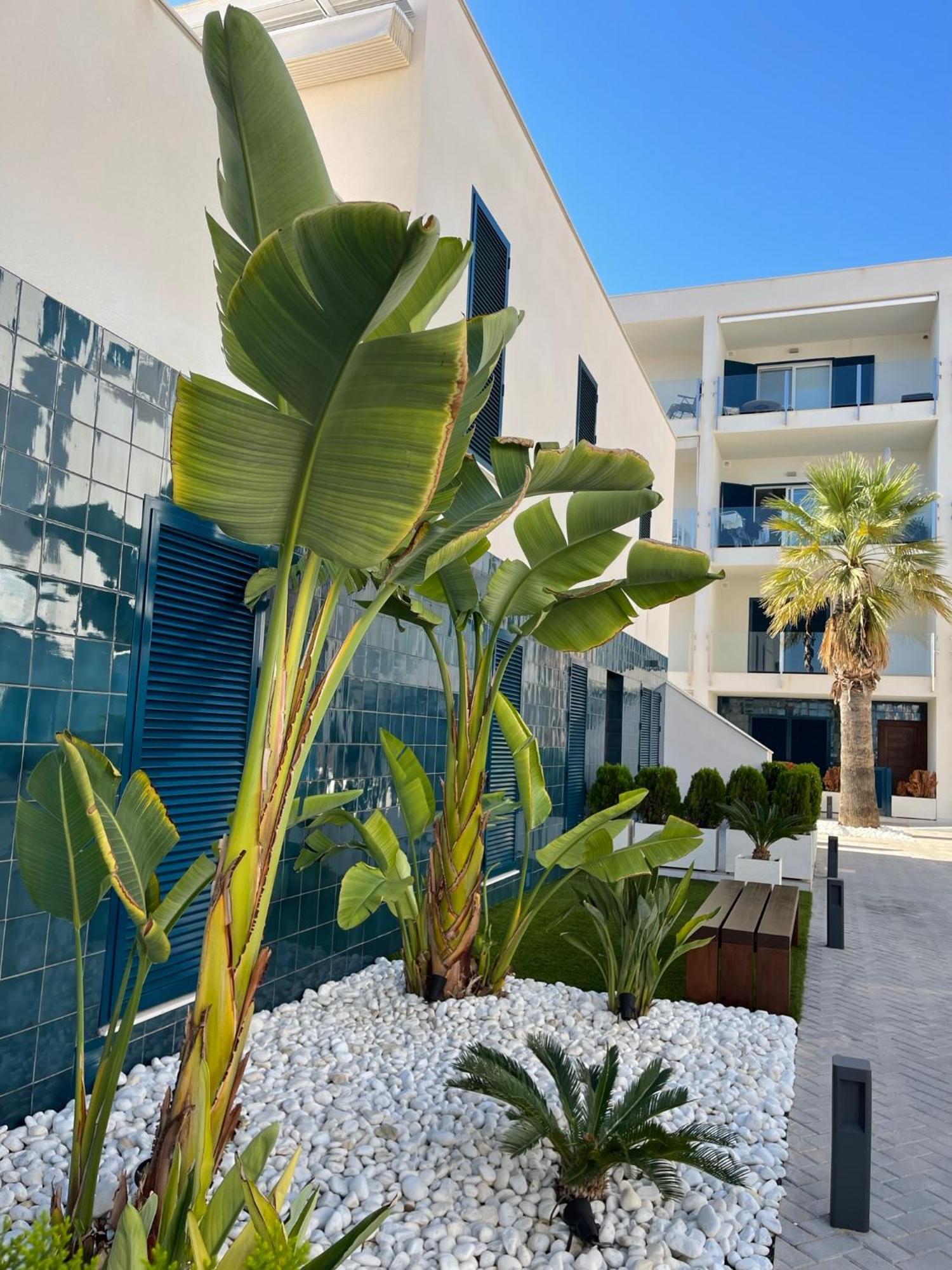 Hola Blanca - Sea, Golf, Chill Apartment Dehesa de Campoamor  Екстериор снимка
