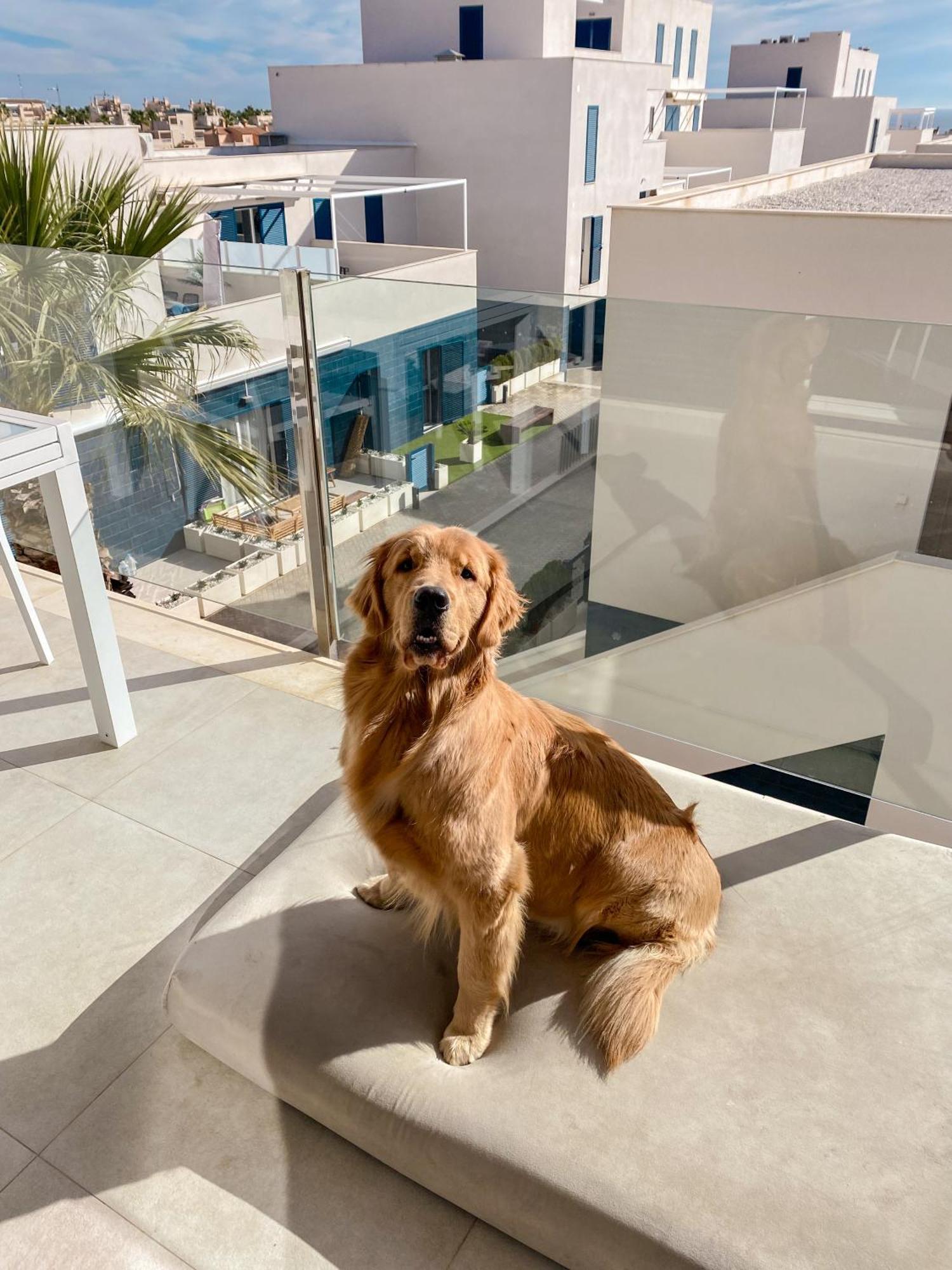 Hola Blanca - Sea, Golf, Chill Apartment Dehesa de Campoamor  Екстериор снимка
