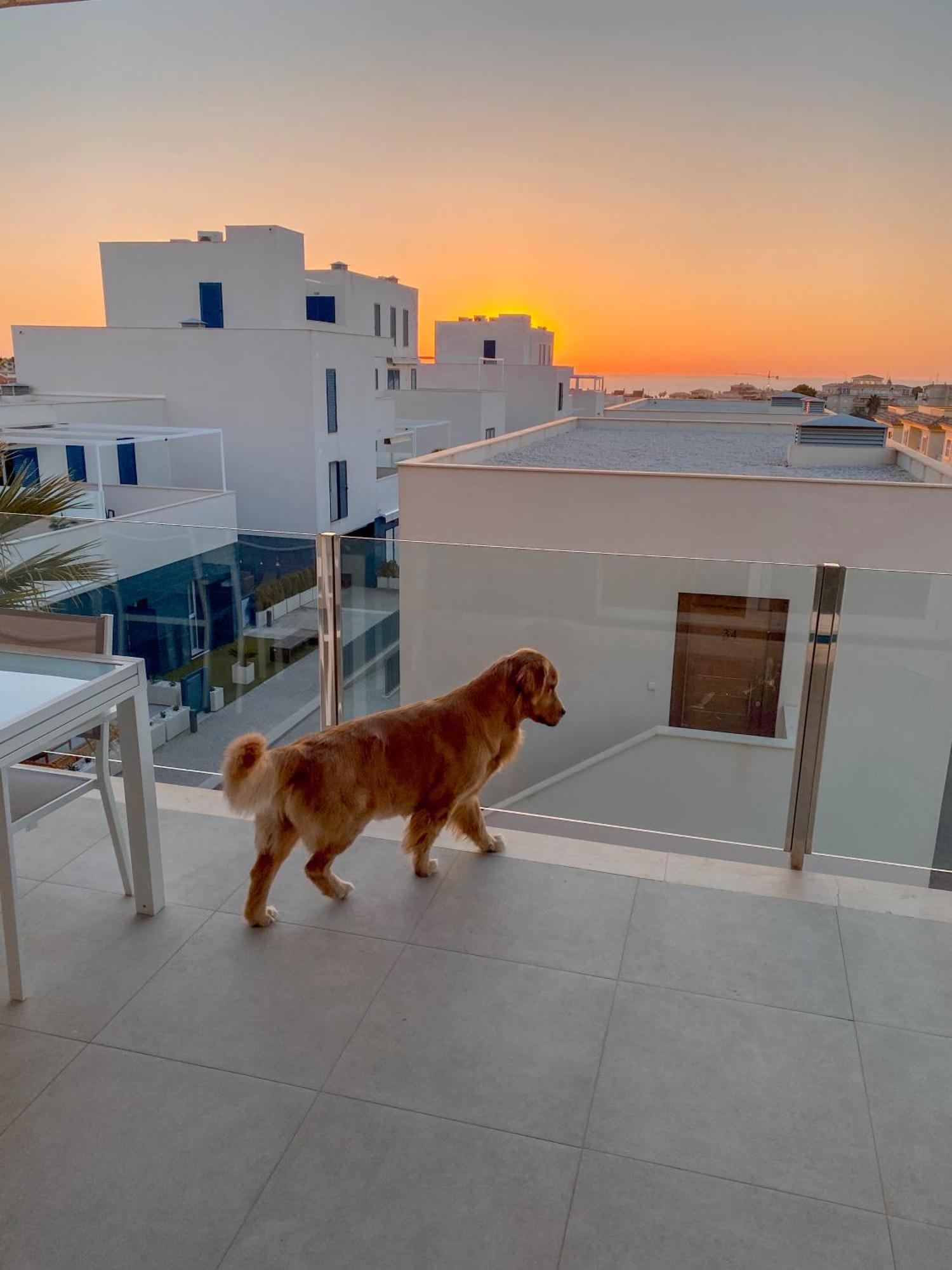 Hola Blanca - Sea, Golf, Chill Apartment Dehesa de Campoamor  Екстериор снимка